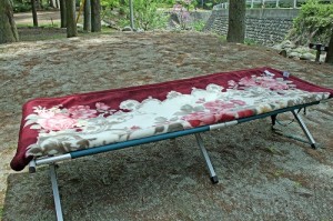 レンタル用品　『毛布』