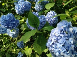 top140727_2