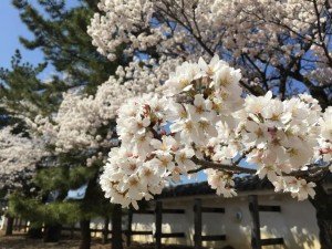 top150401_2